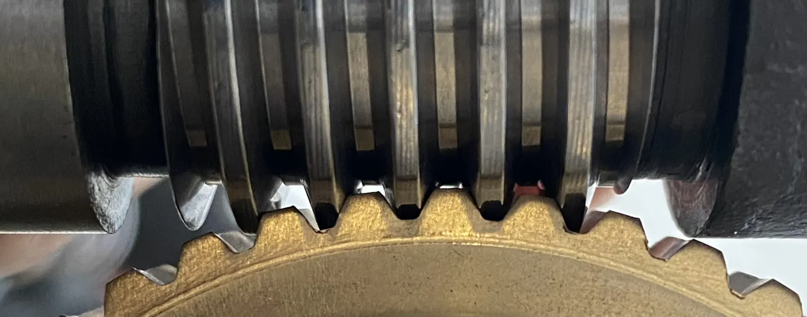 Worm and Wormwheel closeup
